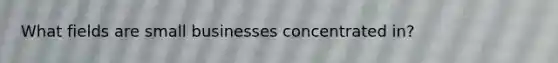 What fields are small businesses concentrated in?