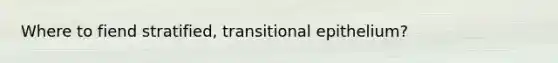 Where to fiend stratified, transitional epithelium?