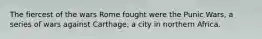 The fiercest of the wars Rome fought were the Punic Wars, a series of wars against Carthage, a city in northern Africa.