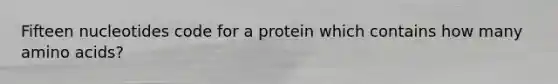 Fifteen nucleotides code for a protein which contains how many amino acids?