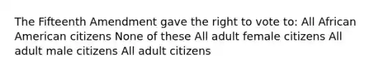 The Fifteenth Amendment gave the right to vote to: All African American citizens None of these All adult female citizens All adult male citizens All adult citizens