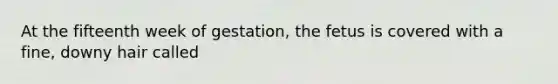 At the fifteenth week of gestation, the fetus is covered with a fine, downy hair called