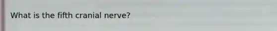 What is the fifth cranial nerve?