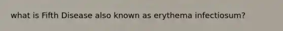 what is Fifth Disease also known as erythema infectiosum?