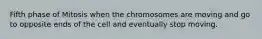 Fifth phase of Mitosis when the chromosomes are moving and go to opposite ends of the cell and eventually stop moving.