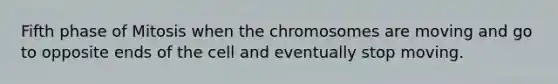 Fifth phase of Mitosis when the chromosomes are moving and go to opposite ends of the cell and eventually stop moving.