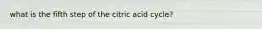 what is the fifth step of the citric acid cycle?