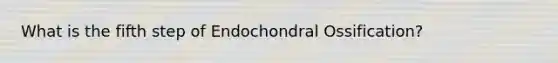 What is the fifth step of Endochondral Ossification?