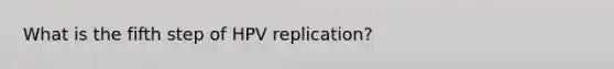 What is the fifth step of HPV replication?