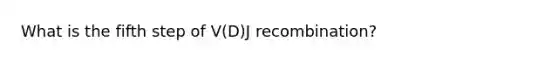 What is the fifth step of V(D)J recombination?