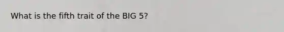 What is the fifth trait of the BIG 5?