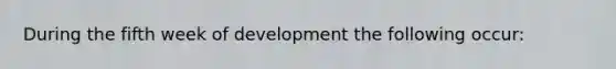 During the fifth week of development the following occur: