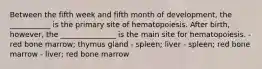 Between the fifth week and fifth month of development, the ___________ is the primary site of hematopoiesis. After birth, however, the _______________ is the main site for hematopoiesis. - red bone marrow; thymus gland - spleen; liver - spleen; red bone marrow - liver; red bone marrow