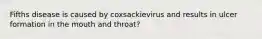 Fifths disease is caused by coxsackievirus and results in ulcer formation in the mouth and throat?