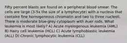 Fifty percent blasts are found on a peripheral blood smear. The cells are large (3-5x the size of a lymphocyte) with a nucleus that contains fine homogeneous chromatin and two to three nucleoli. There is moderate blue-grey cytoplasm with Auer rods. What leukemia is most likely? A) Acute myelogenous leukemia (AML) B) Hairy cell leukemia (HCL) C) Acute lymphoblastic leukemia (ALL) D) Chronic lymphocytic leukemia (CLL)