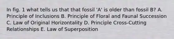 In fig. 1 what tells us that that fossil 'A' is older than fossil B? A. Principle of Inclusions B. Principle of Floral and Faunal Succession C. Law of Original Horizontality D. Principle Cross-Cutting Relationships E. Law of Superposition