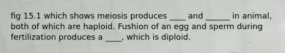 fig 15.1 which shows meiosis produces ____ and ______ in animal, both of which are haploid. Fushion of an egg and sperm during fertilization produces a ____, which is diploid.