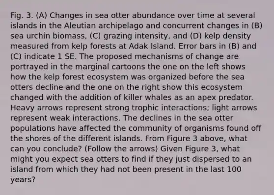 Fig. 3. (A) Changes in sea otter abundance over time at several islands in the Aleutian archipelago and concurrent changes in (B) sea urchin biomass, (C) grazing intensity, and (D) kelp density measured from kelp forests at Adak Island. Error bars in (B) and (C) indicate 1 SE. The proposed mechanisms of change are portrayed in the marginal cartoons the one on the left shows how the kelp forest ecosystem was organized before the sea otters decline and the one on the right show this ecosystem changed with the addition of killer whales as an apex predator. Heavy arrows represent strong trophic interactions; light arrows represent weak interactions. The declines in the sea otter populations have affected the community of organisms found off the shores of the different islands. From Figure 3 above, what can you conclude? (Follow the arrows) Given Figure 3, what might you expect sea otters to find if they just dispersed to an island from which they had not been present in the last 100 years?