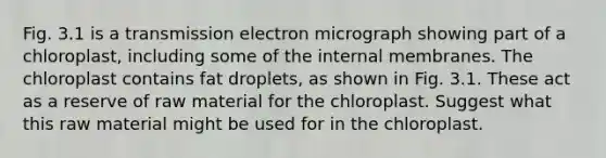 Fig. 3.1 is a transmission electron micrograph showing part of a chloroplast, including some of the internal membranes. The chloroplast contains fat droplets, as shown in Fig. 3.1. These act as a reserve of raw material for the chloroplast. Suggest what this raw material might be used for in the chloroplast.