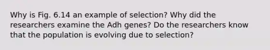 Why is Fig. 6.14 an example of selection? Why did the researchers examine the Adh genes? Do the researchers know that the population is evolving due to selection?