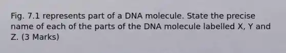 Fig. 7.1 represents part of a DNA molecule. State the precise name of each of the parts of the DNA molecule labelled X, Y and Z. (3 Marks)