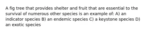 A fig tree that provides shelter and fruit that are essential to the survival of numerous other species is an example of: A) an indicator species B) an endemic species C) a keystone species D) an exotic species