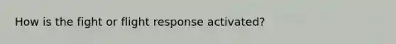 How is the fight or flight response activated?