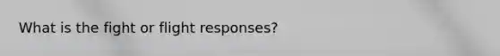 What is the fight or flight responses?