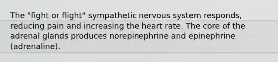 The "fight or flight" sympathetic nervous system responds, reducing pain and increasing the heart rate. The core of the adrenal glands produces norepinephrine and epinephrine (adrenaline).