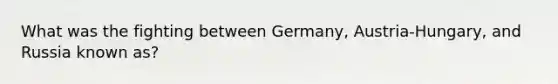 What was the fighting between Germany, Austria-Hungary, and Russia known as?