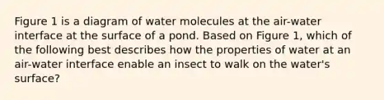 Figure 1 is a diagram of water molecules at the air-water interface at the surface of a pond. Based on Figure 1, which of the following best describes how the properties of water at an air-water interface enable an insect to walk on the water's surface?