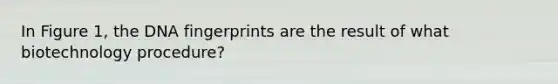 In Figure 1, the DNA fingerprints are the result of what biotechnology procedure?