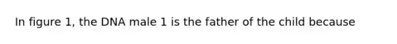 In figure 1, the DNA male 1 is the father of the child because