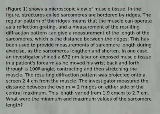 (Figure 1) shows a microscopic view of muscle tissue. In the figure, structures called sarcomeres are bordered by ridges. The regular pattern of the ridges means that the muscle can operate as a reflection grating, and a measurement of the resulting diffraction pattern can give a measurement of the length of the sarcomeres, which is the distance between the ridges. This has been used to provide measurements of sarcomere length during exercise, as the sarcomeres lengthen and shorten. In one case, an investigator shined a 632 nm laser on exposed muscle tissue in a patient's forearm as he moved his wrist back and forth through a 100º angle, contracting and then stretching the muscle. The resulting diffraction pattern was projected onto a screen 2.4 cm from the muscle. The investigator measured the distance between the two m = 2 fringes on either side of the central maximum. This length varied from 1.9 cmcm to 2.7 cm. What were the minimum and maximum values of the sarcomere length?