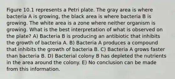 Figure 10.1 represents a Petri plate. The gray area is where bacteria A is growing, the black area is where bacteria B is growing. The white area is a zone where neither organism is growing. What is the best interpretation of what is observed on the plate? A) Bacteria B is producing an antibiotic that inhibits the growth of bacteria A. B) Bacteria A produces a compound that inhibits the growth of bacteria B. C) Bacteria A grows faster than bacteria B. D) Bacterial colony B has depleted the nutrients in the area around the colony. E) No conclusion can be made from this information.