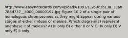 http://www.easynotecards.com/uploads/1091/11/69c3b13a_13a8788d737__8000_00000197.jpg Figure 10.2 of a single pair of homologous chromosomes as they might appear during various stages of either mitosis or meiosis. Which diagram(s) represent anaphase II of meiosis? A) III only B) either II or V C) IV only D) V only E) II only