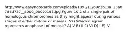 http://www.easynotecards.com/uploads/1091/11/69c3b13a_13a8788d737__8000_00000197.jpg Figure 10.2 of a single pair of homologous chromosomes as they might appear during various stages of either mitosis or meiosis. 52) Which diagram represents anaphase I of meiosis? A) V B) II C) VI D) I E) IV