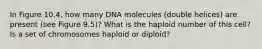 In Figure 10.4, how many DNA molecules (double helices) are present (see Figure 9.5)? What is the haploid number of this cell? Is a set of chromosomes haploid or diploid?