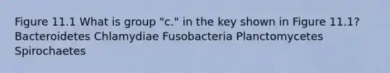 Figure 11.1 What is group "c." in the key shown in Figure 11.1? Bacteroidetes Chlamydiae Fusobacteria Planctomycetes Spirochaetes