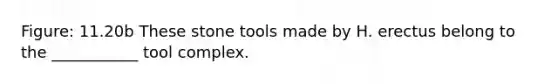 Figure: 11.20b These stone tools made by H. erectus belong to the ___________ tool complex.