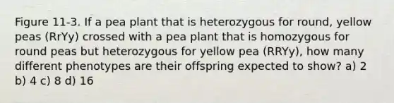 Figure 11-3. If a pea plant that is heterozygous for round, yellow peas (RrYy) crossed with a pea plant that is homozygous for round peas but heterozygous for yellow pea (RRYy), how many different phenotypes are their offspring expected to show? a) 2 b) 4 c) 8 d) 16