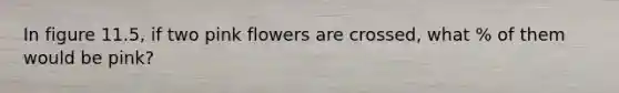In figure 11.5, if two pink flowers are crossed, what % of them would be pink?