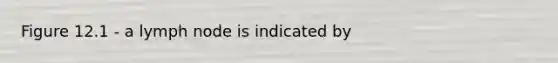 Figure 12.1 - a lymph node is indicated by