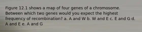 Figure 12.1 shows a map of four genes of a chromosome. Between which two genes would you expect the highest frequency of recombination? a. A and W b. W and E c. E and G d. A and E e. A and G