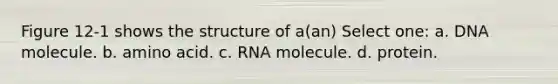 Figure 12-1 shows the structure of a(an) Select one: a. DNA molecule. b. amino acid. c. RNA molecule. d. protein.