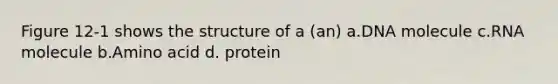 Figure 12-1 shows the structure of a (an) a.DNA molecule c.RNA molecule b.Amino acid d. protein