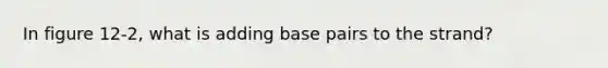 In figure 12-2, what is adding base pairs to the strand?