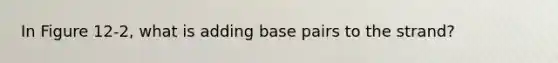 In Figure 12-2, what is adding base pairs to the strand?