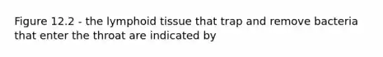 Figure 12.2 - the lymphoid tissue that trap and remove bacteria that enter the throat are indicated by