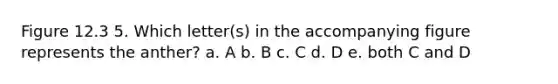 Figure 12.3 5. Which letter(s) in the accompanying figure represents the anther? a. A b. B c. C d. D e. both C and D